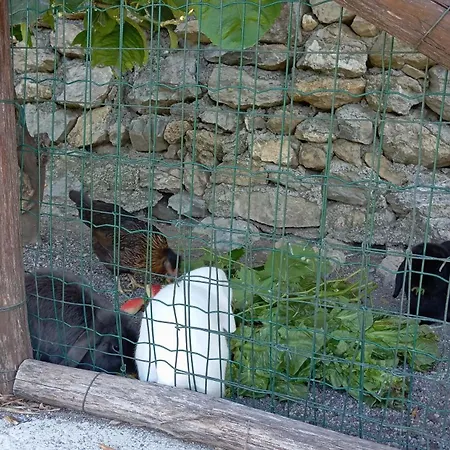 U Spigu Nonna Annetta Vakantiehuis